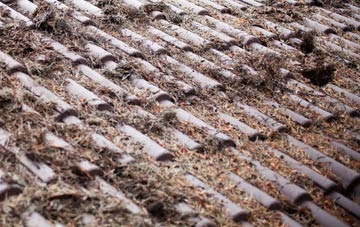 Holloway roof cleaning companies